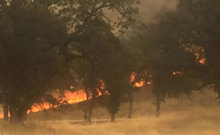 السلطات في كاليفورنيا تخلي بلدة بسبب الحرائق
