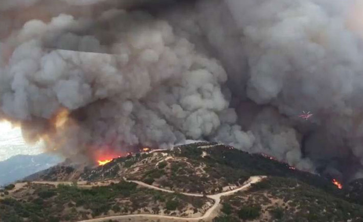 أكبر حريق غابات في تاريخ لوس انجلوس