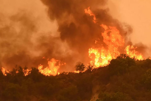 حرائق غابات كاليفورنيا تنتشر سريعاً ويزداد نطاقها