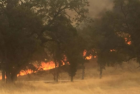السلطات في كاليفورنيا تخلي بلدة بسبب الحرائق